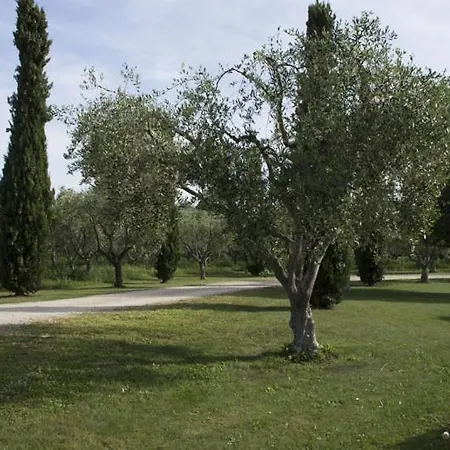Agriturismo Scuderie Della Contea Sutri Exterior photo