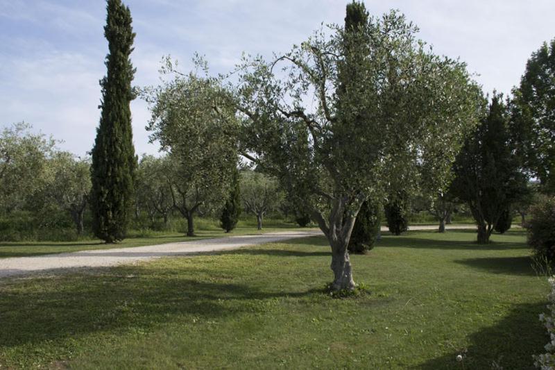 Apartment Scuderie Della Contea