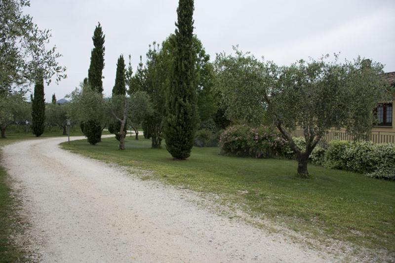 Scuderie Della Contea * Sutri