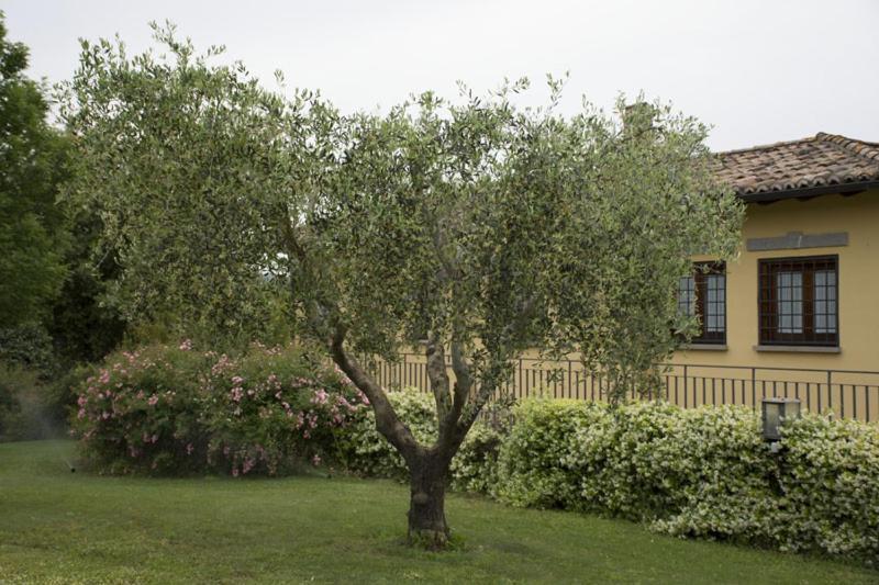 Scuderie Della Contea Apartment Sutri