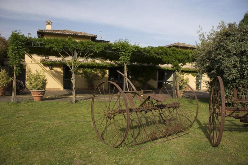 Scuderie Della Contea Sutri